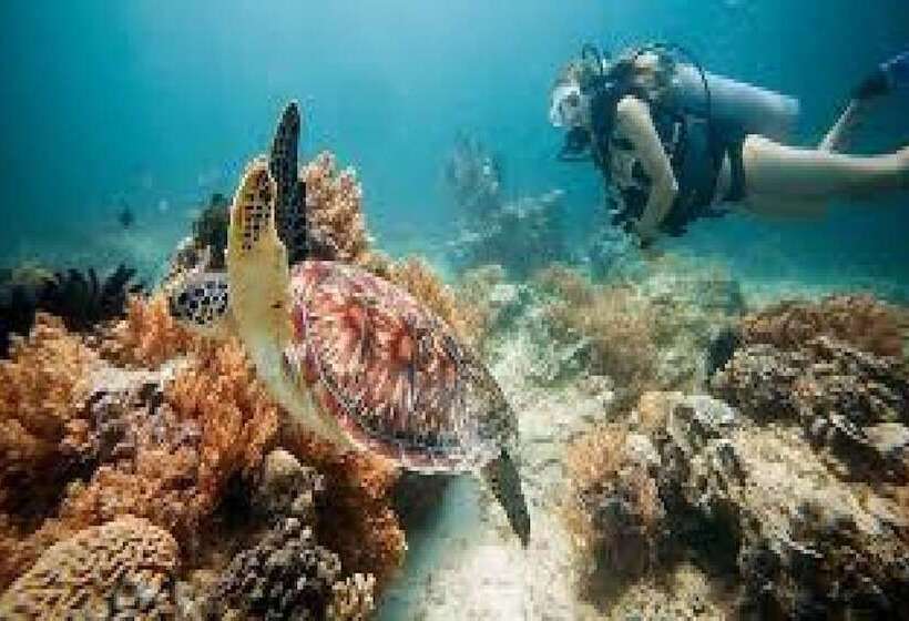 هتل Gili Breeze Tropical Bungalows