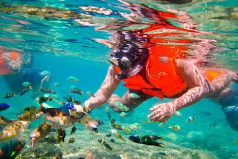 Hotelli Gili Breeze Tropical Bungalows