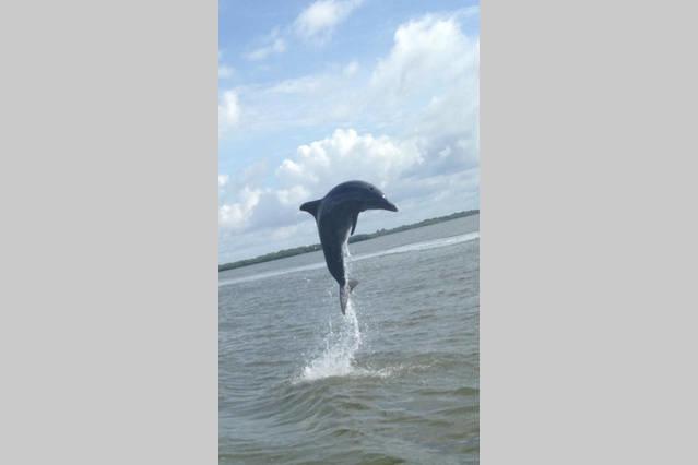 모텔 The Sea Gypsy Inn