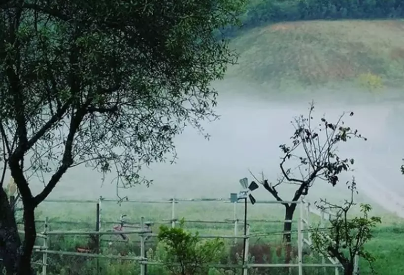 Podere La Paolina