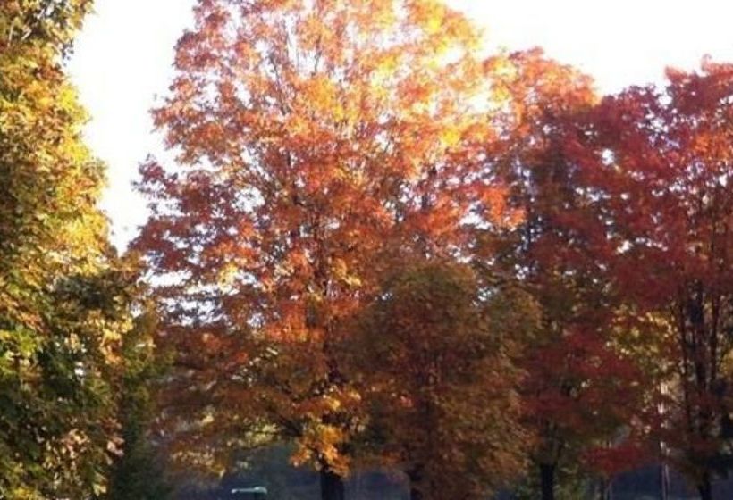 住宿加早餐 Chester House Inn