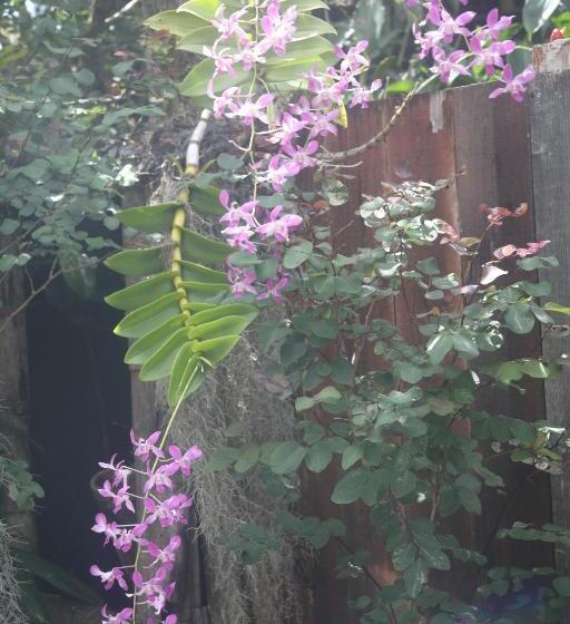 צימר Ma'ukele Lodge