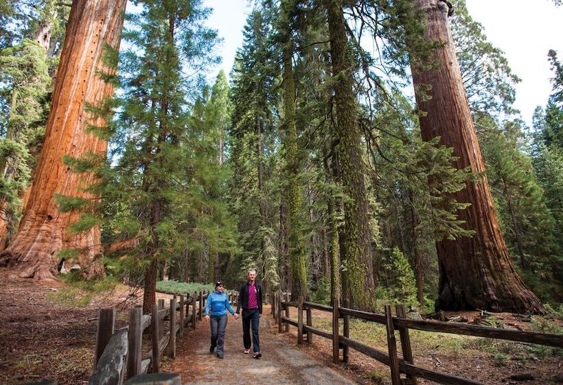 酒店 Cedar Grove Lodge