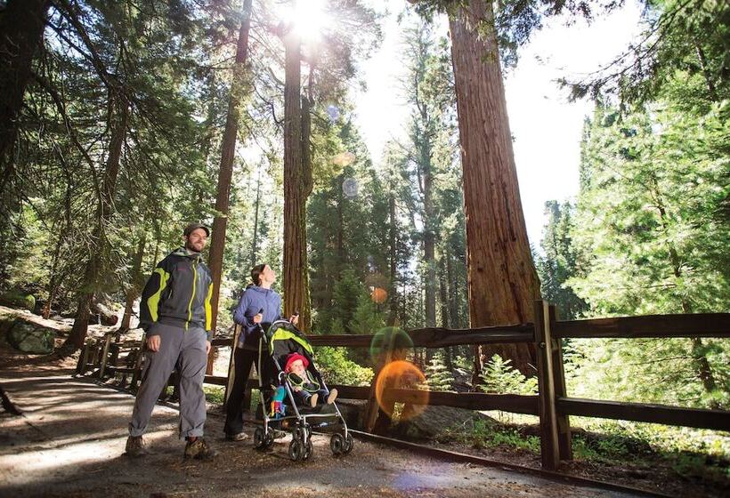 酒店 Cedar Grove Lodge