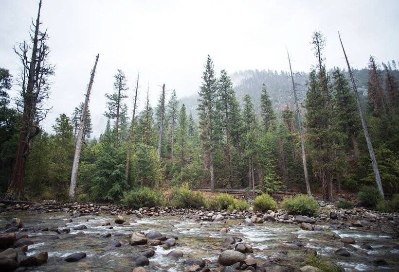 酒店 Cedar Grove Lodge