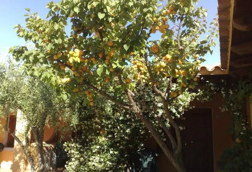 هتل Residence La Pineta