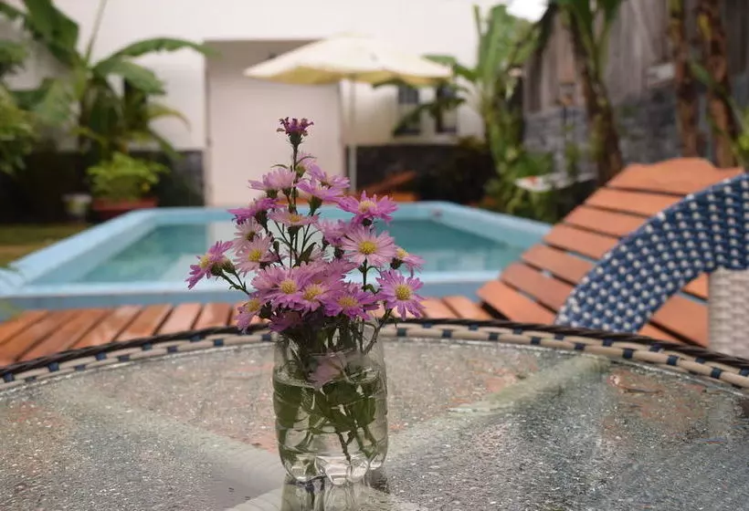 پانسیون Orchid Guest House Phu Quoc