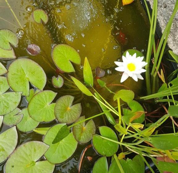 B&b La Terre Brûlée