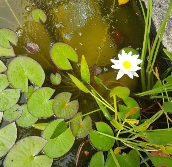 B&b La Terre Brûlée