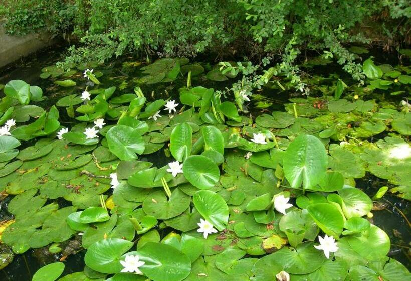 مبيت وإفطار Sous La Glycine