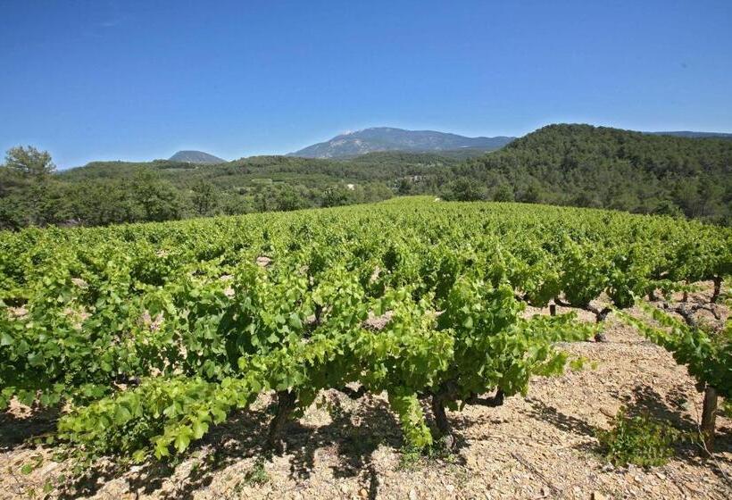 Отель Auberge Les Olivades