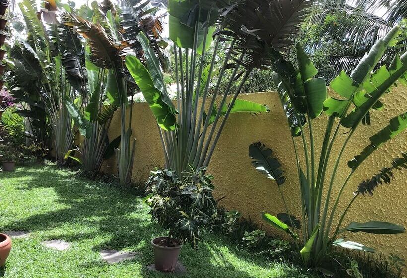 בית מלון כפרי Beach Villa Lanka