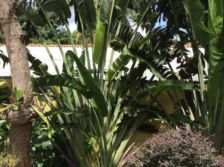 ホテル Beach Villa Lanka