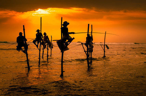 ホテル Sun Ray Village Dalawella