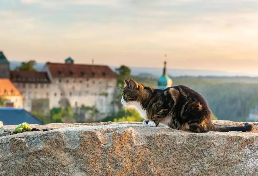 ホテル Zur Aussicht
