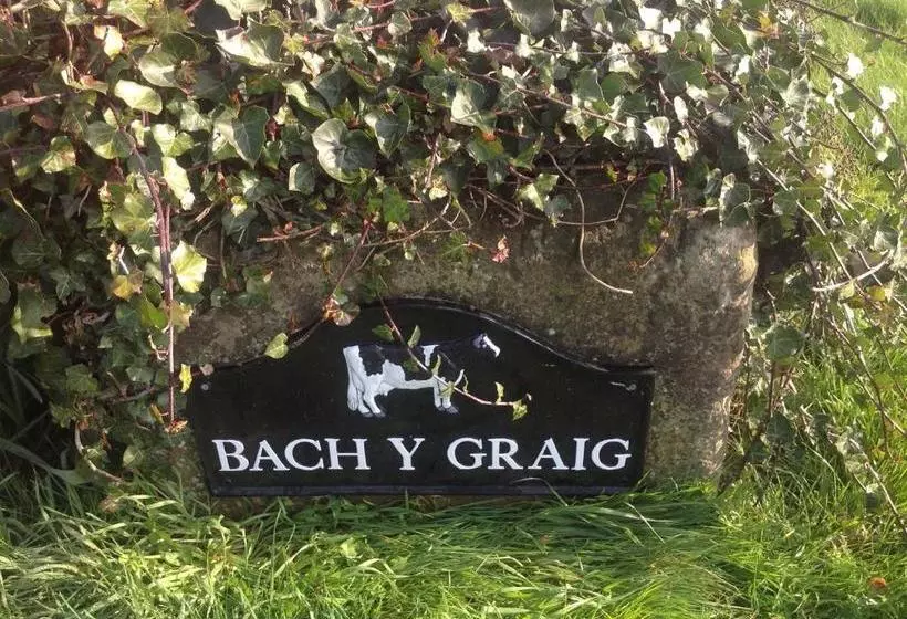 Bach Y Graig Farmhouse B&b
