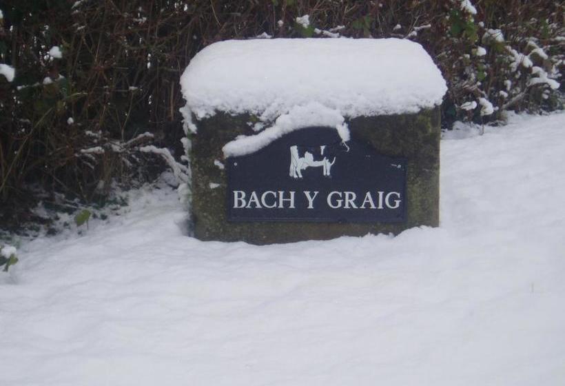 Bach Y Graig Farmhouse B&b