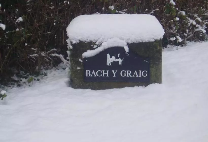 Bach Y Graig Farmhouse B&b