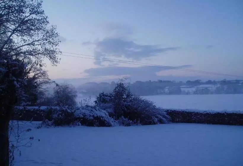 Bach Y Graig Farmhouse B&b