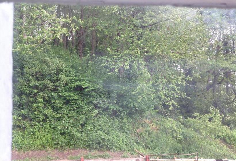 Bach Y Graig Farmhouse B&b