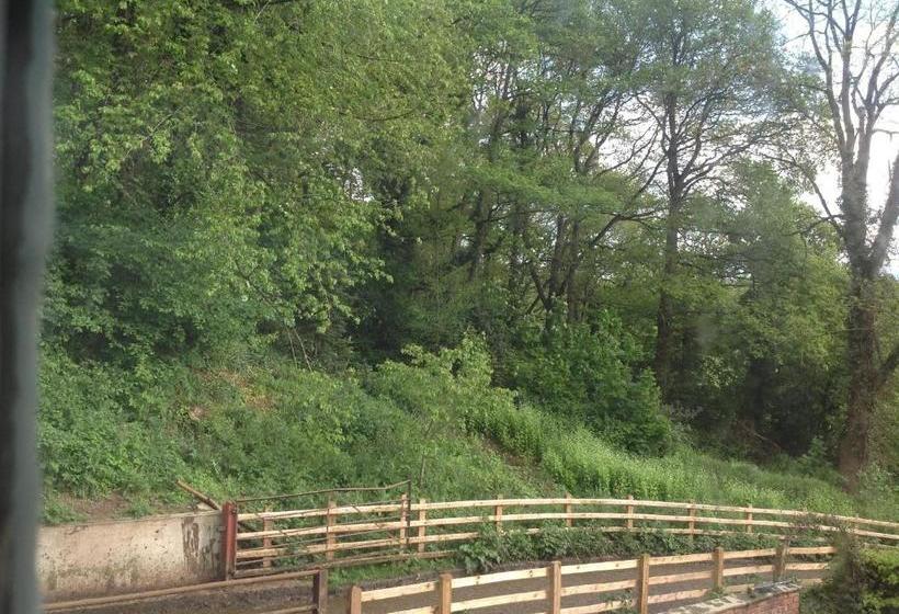 Bach Y Graig Farmhouse B&b