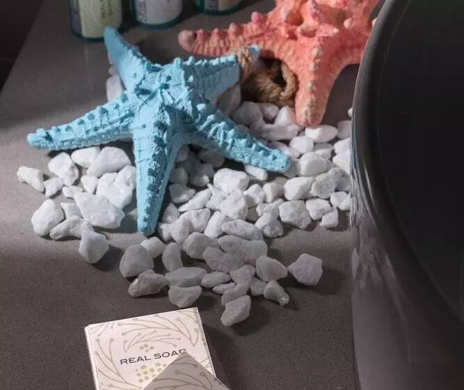 Coral Apartments