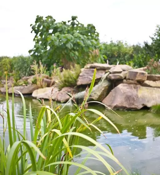 Delamere Farm B&b