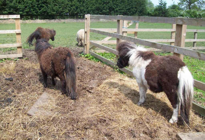 مبيت وإفطار Fifth Milestone Cottage