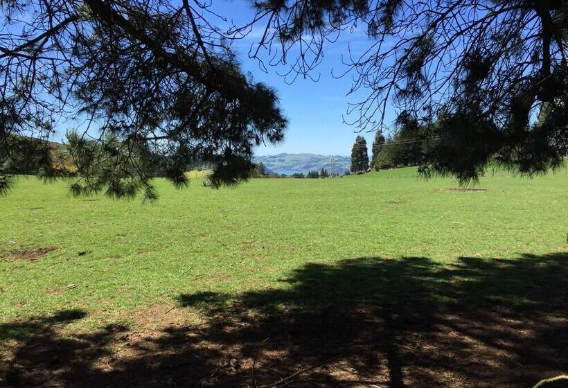 Height Of Dunedin Serviced Farm Stay