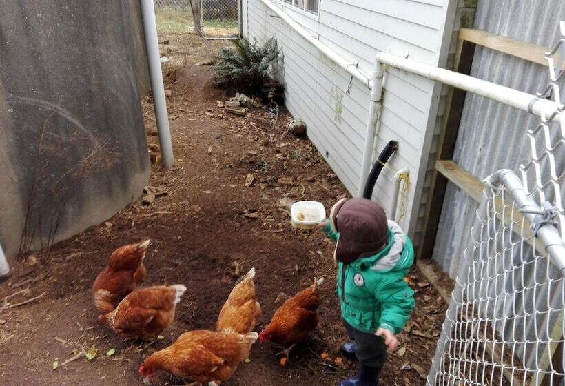 Height Of Dunedin Serviced Farm Stay