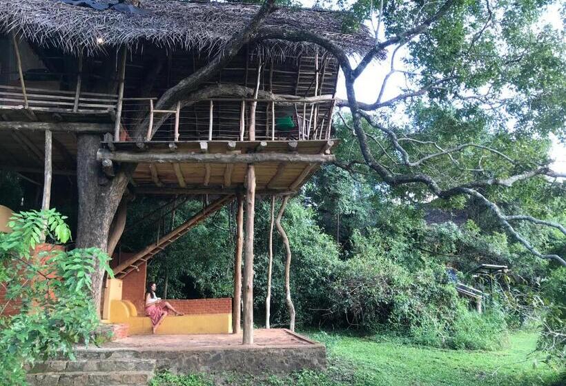 Hotel Back Of Beyond   Wild Haven