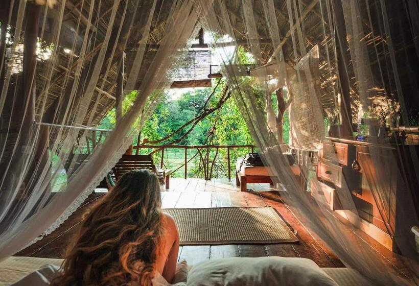 Hotel Back Of Beyond   Wild Haven