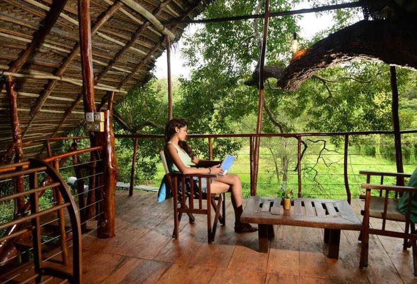 Hotel Back Of Beyond   Wild Haven