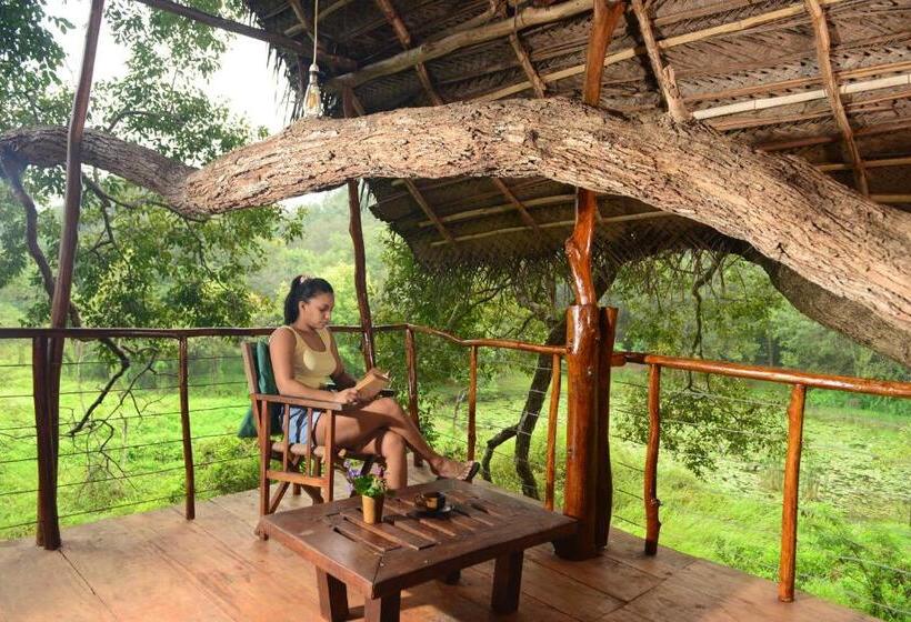 Hotel Back Of Beyond   Wild Haven