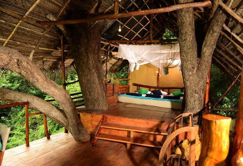 Hotel Back Of Beyond   Wild Haven