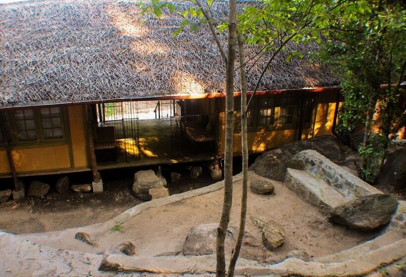 Hotel Back Of Beyond   Wild Haven