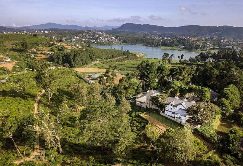 בית מלון כפרי Mirage Kings Cottage