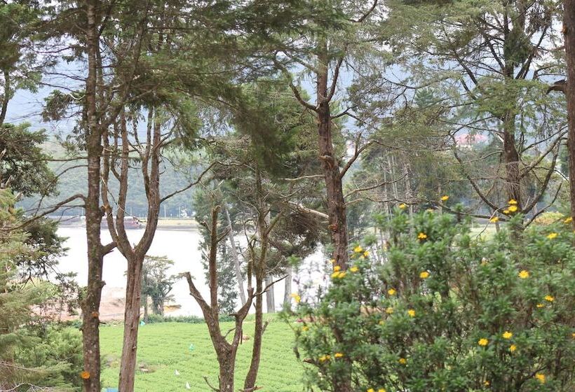 בית מלון כפרי Mirage Kings Cottage