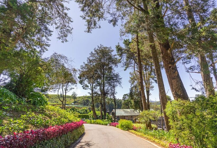 בית מלון כפרי Mirage Kings Cottage