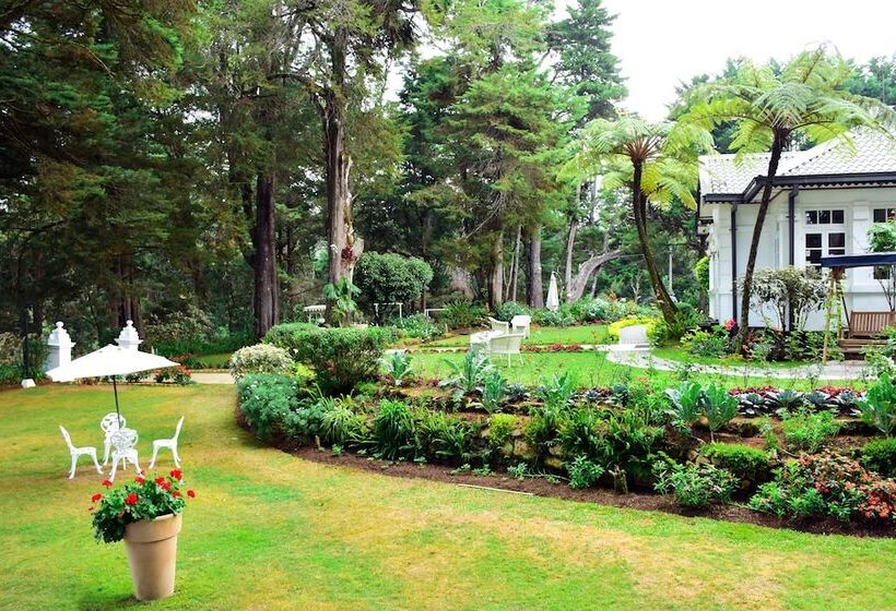 בית מלון כפרי Mirage Kings Cottage