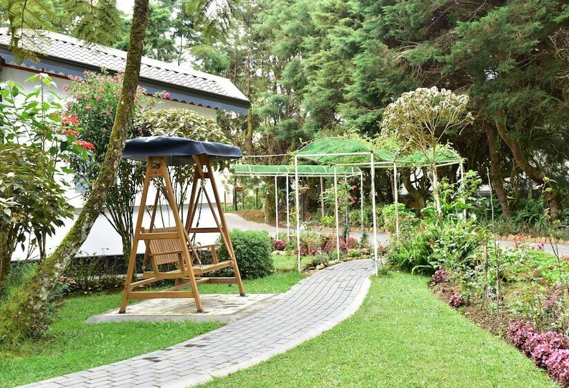 בית מלון כפרי Mirage Kings Cottage