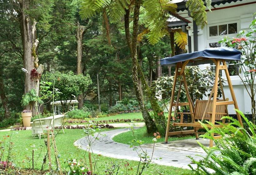 בית מלון כפרי Mirage Kings Cottage