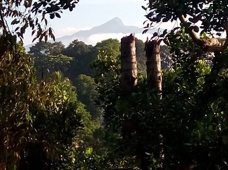 فندق Owinwil Boutique