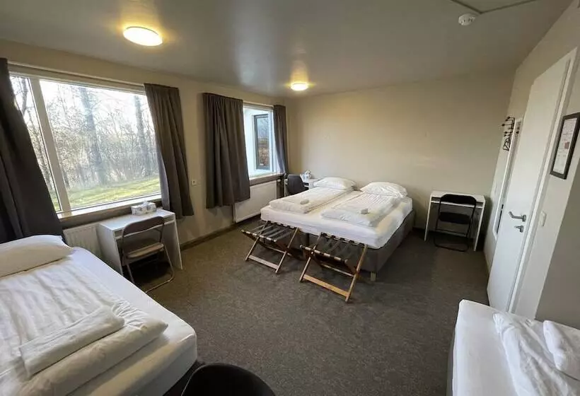 پانسیون Bitra Bed & Breakfast