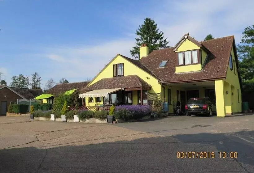 ホテル Gosfield Lake Resort