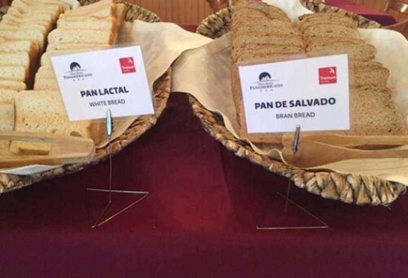 Gran Hotel Panamericano