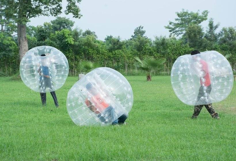 Hotel The Roar Resort