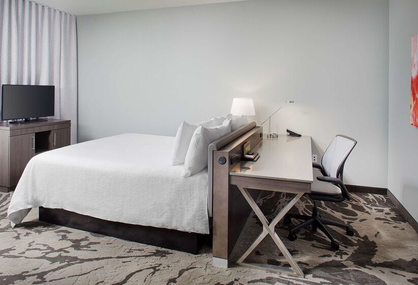 فندق Hilton Garden Inn Dallas/arlington South