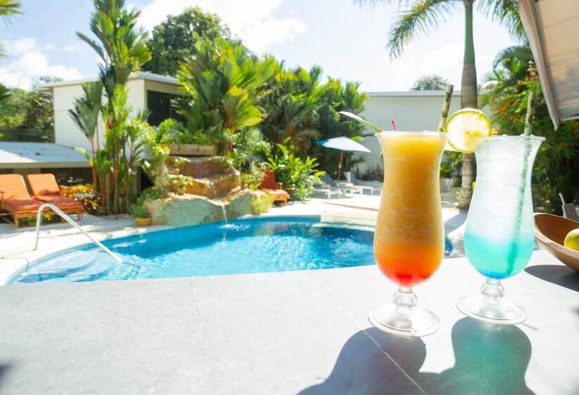 فندق La Vela Boutique