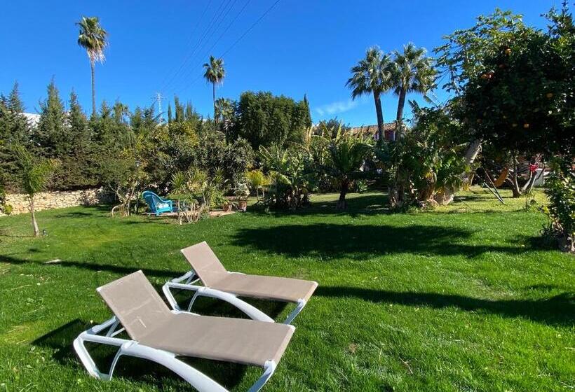 فندق Altea Paradise 1917   Adults Only